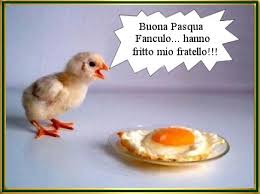 images (3)